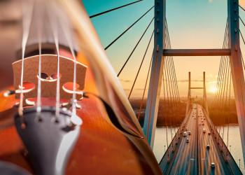 Contemplating Bridges