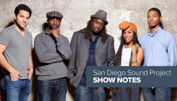 Show Notes: The Lyrical Groove Artist Photo